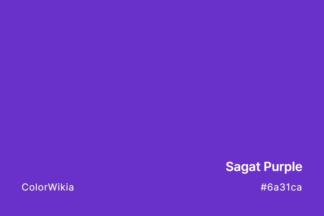 Sagat Purple Color – #6a31ca: Codes and Complete Breakdown