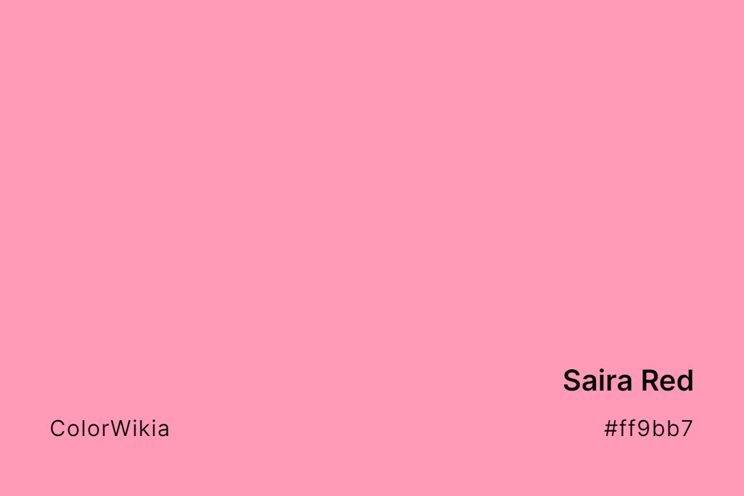 Saira Red Color – #ff9bb7: Codes and Complete Breakdown