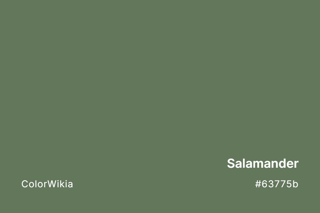 Salamander Color – #63775b: Codes and Complete Breakdown