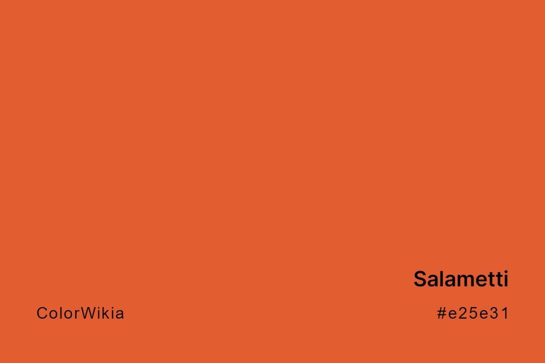 Salametti Color – #e25e31: Codes and Complete Breakdown