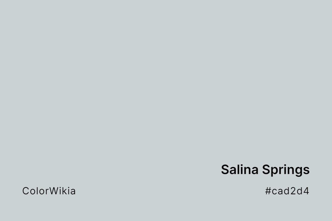 salina springs color cad2d4
