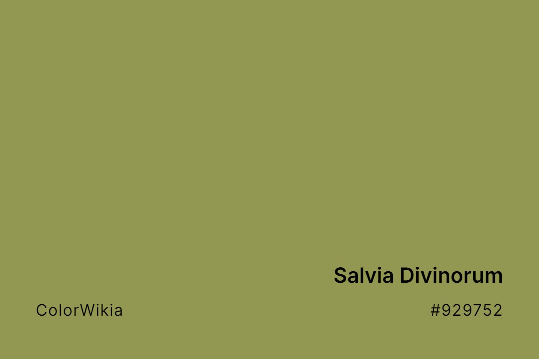Salvia Divinorum Color – #929752: Codes and Complete Breakdown
