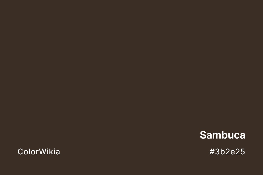 Sambuca Color – #3b2e25: Codes and Complete Breakdown