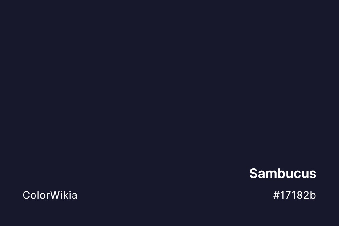 Sambucus Color – #17182b: Codes and Complete Breakdown