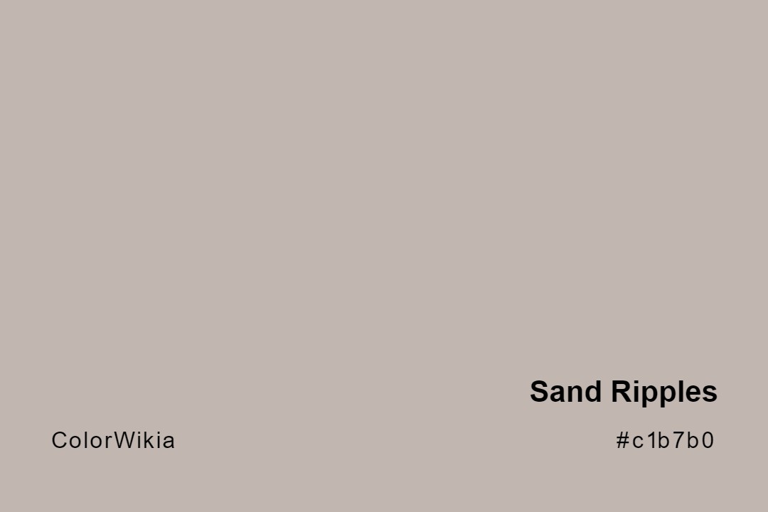 Sand Ripples Color – #c1b7b0: Codes and Complete Breakdown