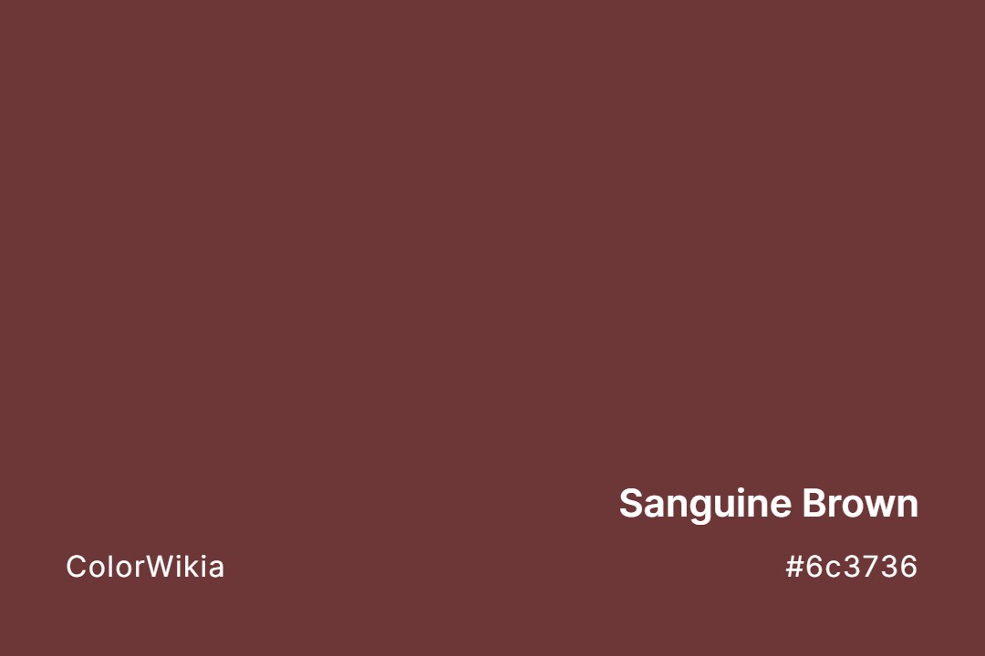 Sanguine Brown Color – #6c3736: Codes and Complete Breakdown