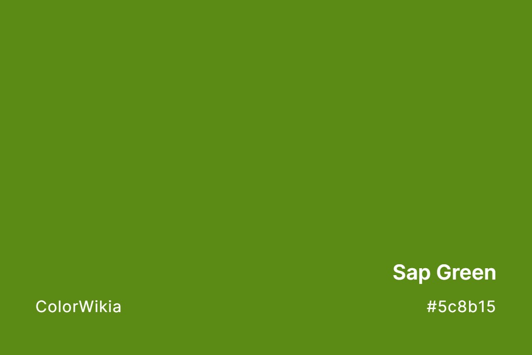 Sap Green Color – #5c8b15: Codes and Complete Breakdown