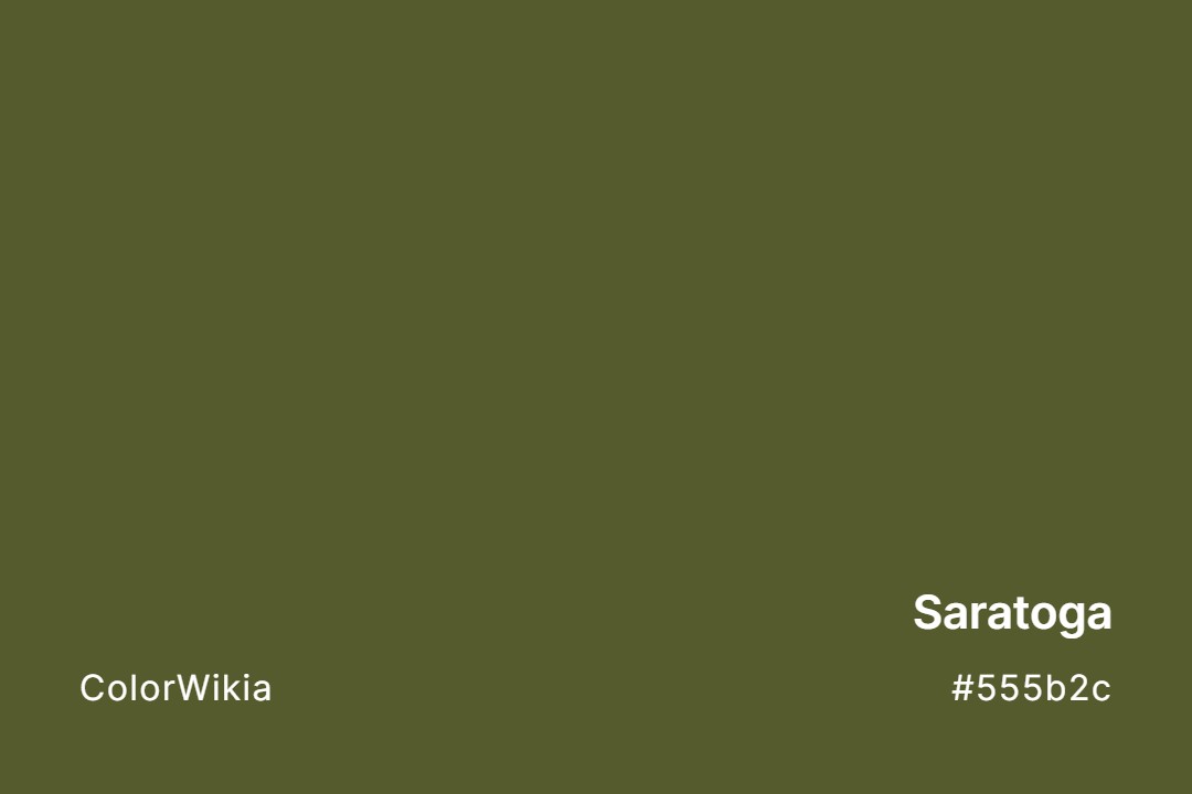 Saratoga Color – #555b2c: Codes and Complete Breakdown