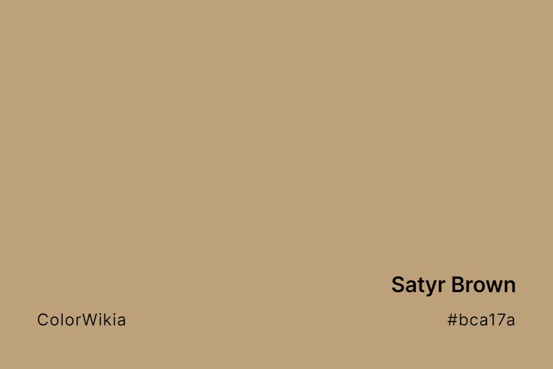 Satyr Brown Color – #bca17a: Codes and Complete Breakdown