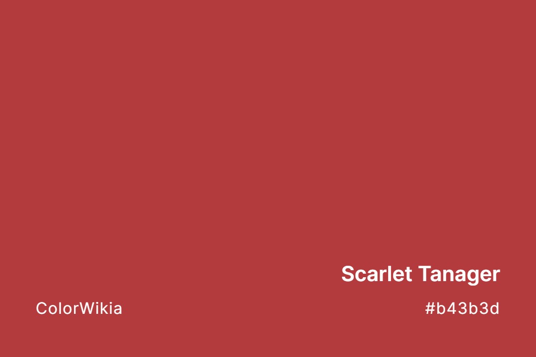scarlet tanager color b43b3d