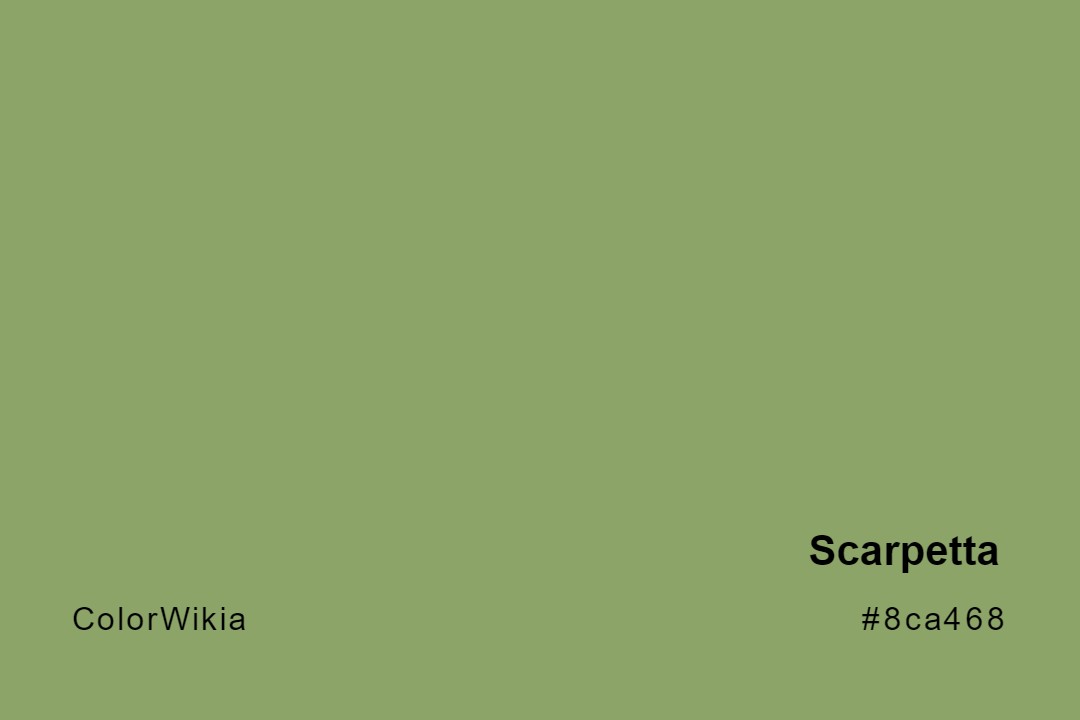Scarpetta Color – #8ca468: Codes and Complete Breakdown