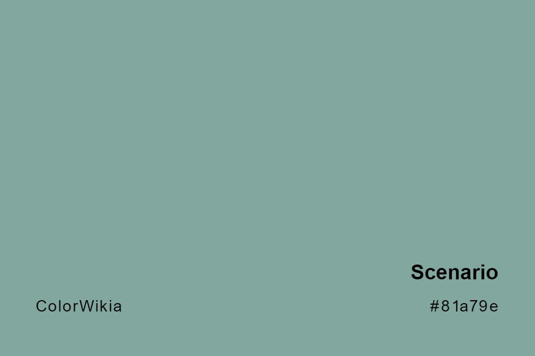 Scenario Color – #81a79e: Codes and Complete Breakdown
