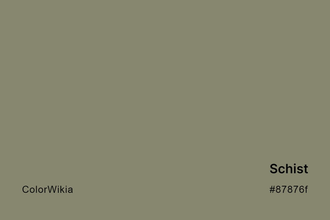 Schist Color – #87876f: Codes and Complete Breakdown