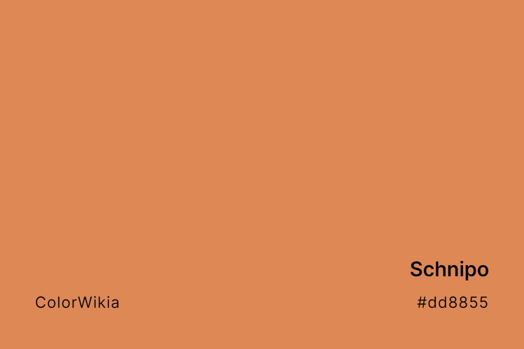 Schnipo Color – #dd8855: Codes and Complete Breakdown