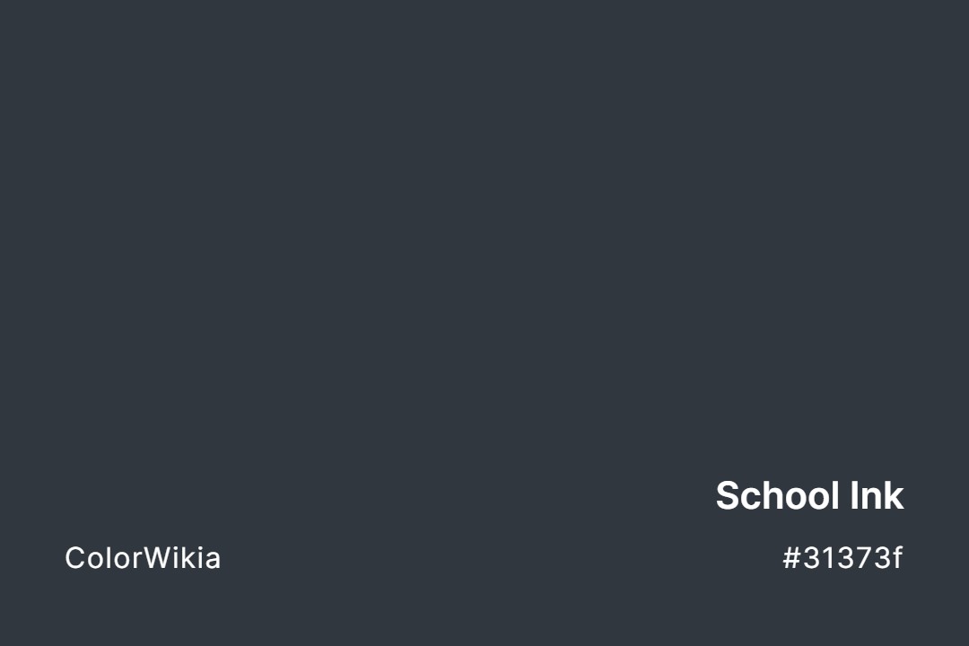 school ink color 31373f