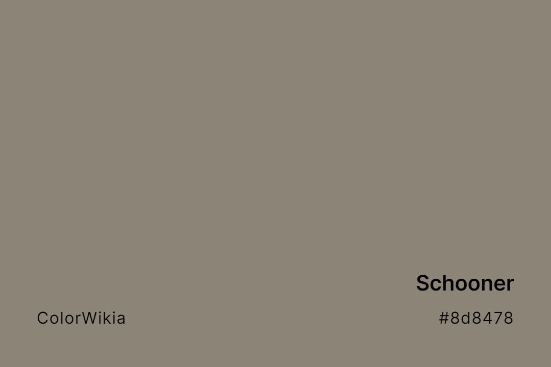 Schooner Color – #8d8478: Codes and Complete Breakdown