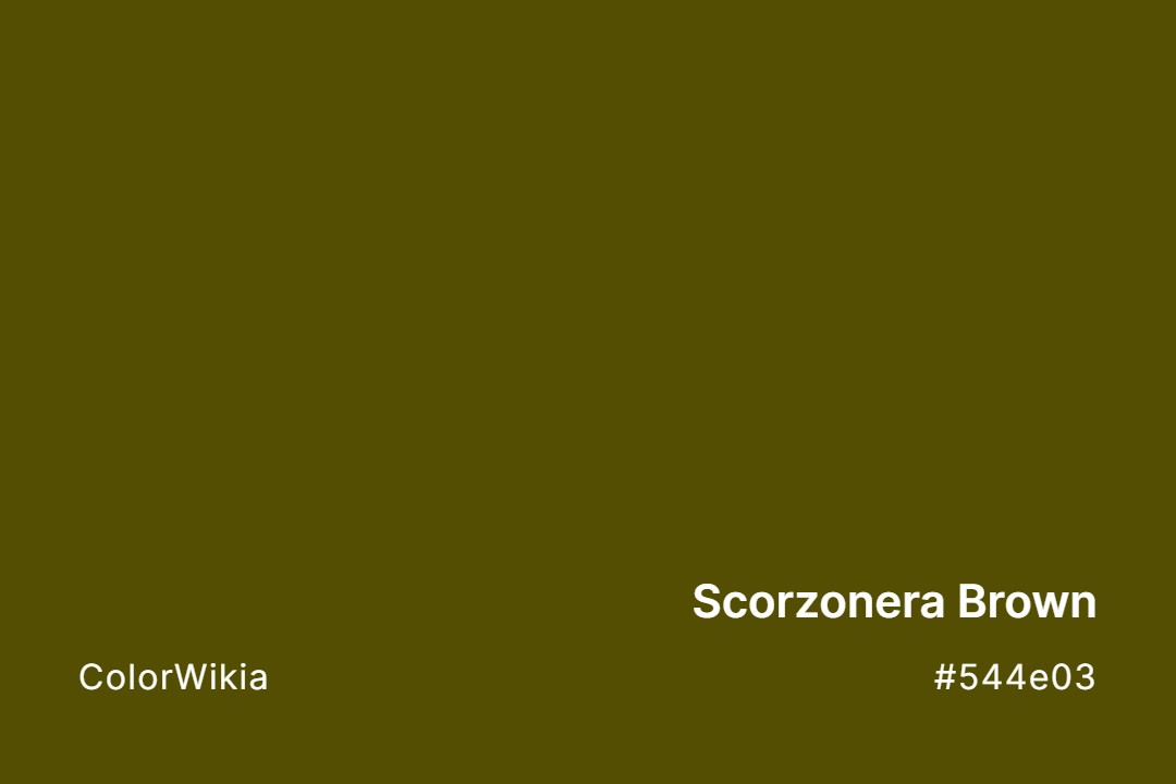 Scorzonera Brown Color – #544e03: Codes and Complete Breakdown