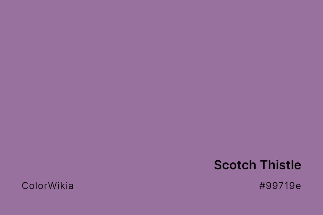scotch thistle color 99719e