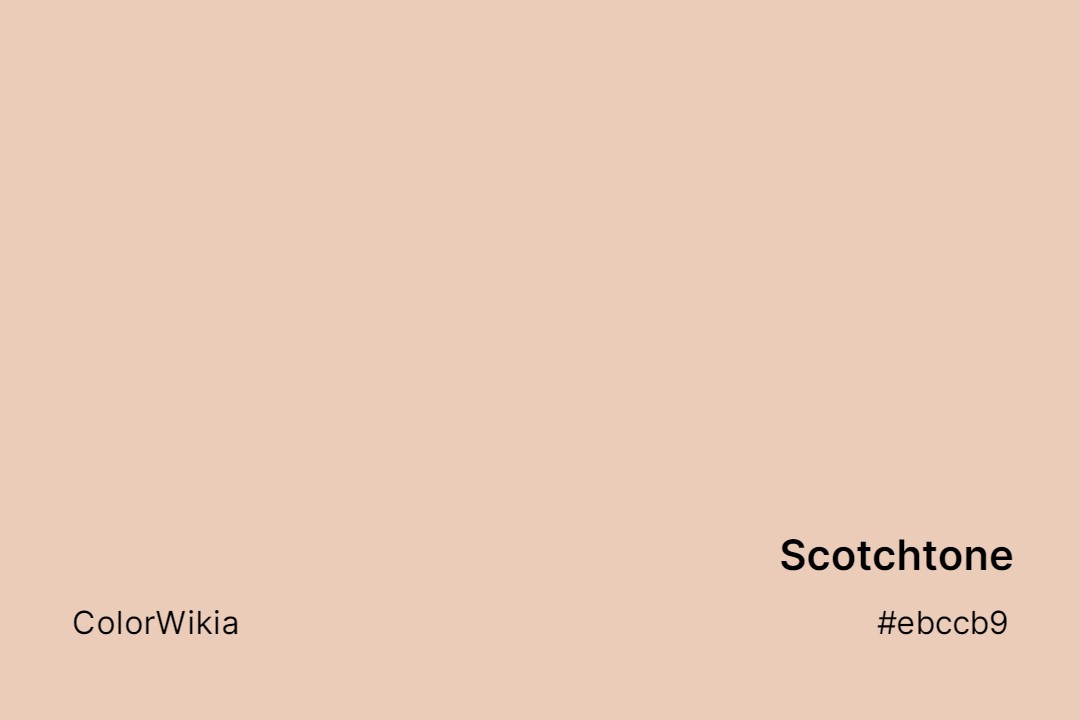 Scotchtone Color – #ebccb9: Codes and Complete Breakdown