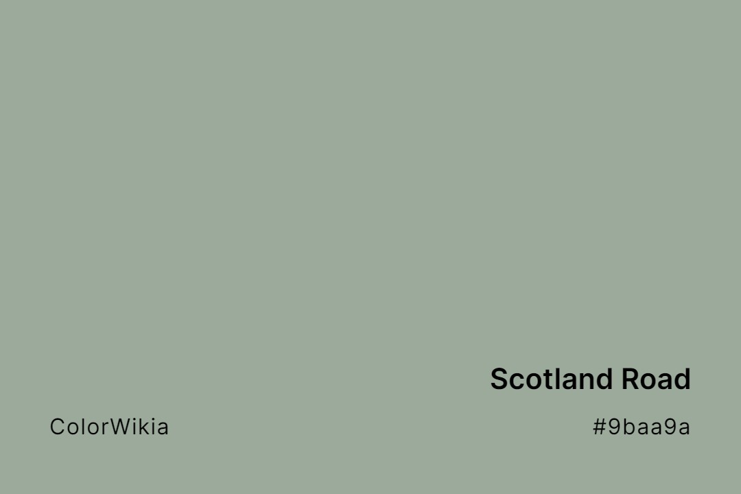 scotland road color 9baa9a