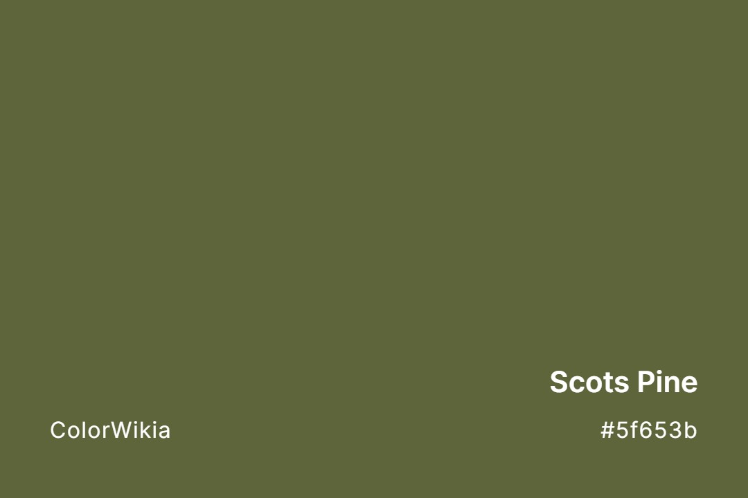 scots pine color 5f653b