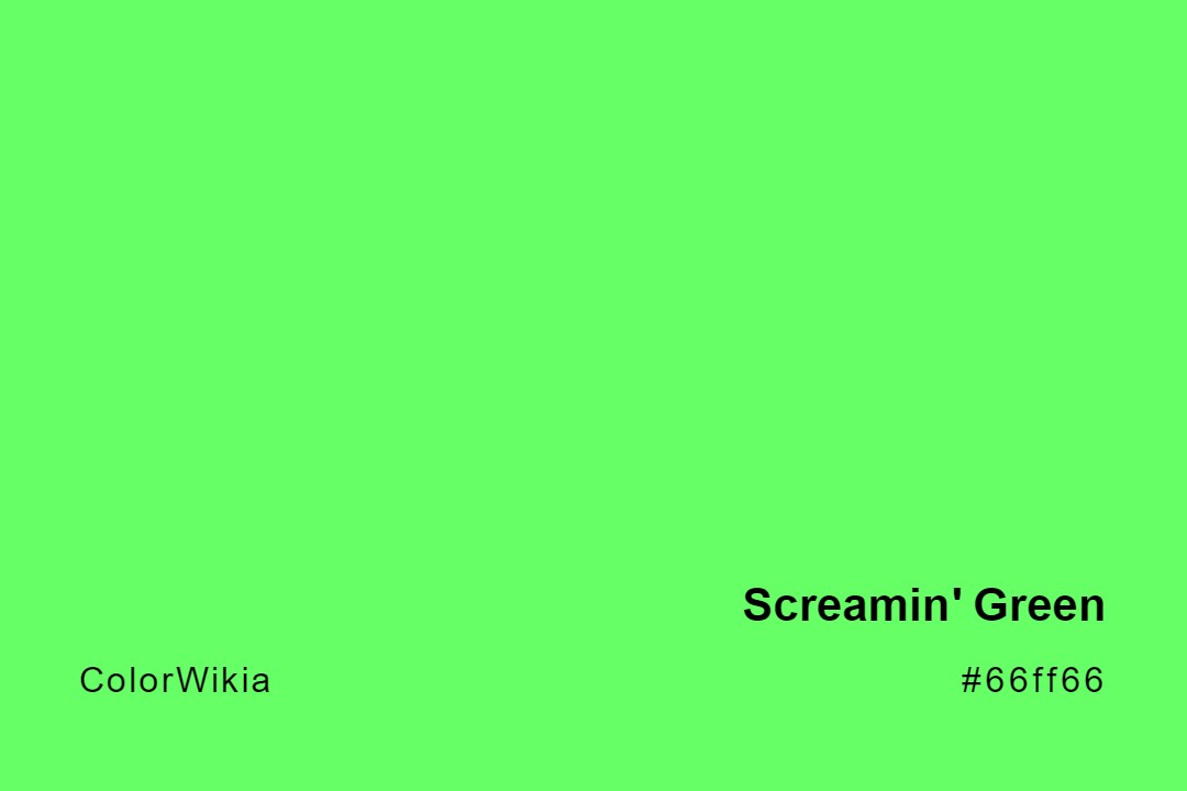 Screamin’ Green Color – #66ff66: Codes and Complete Breakdown