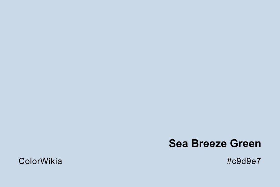 Sea Breeze Green Color – #c9d9e7: Codes and Complete Breakdown