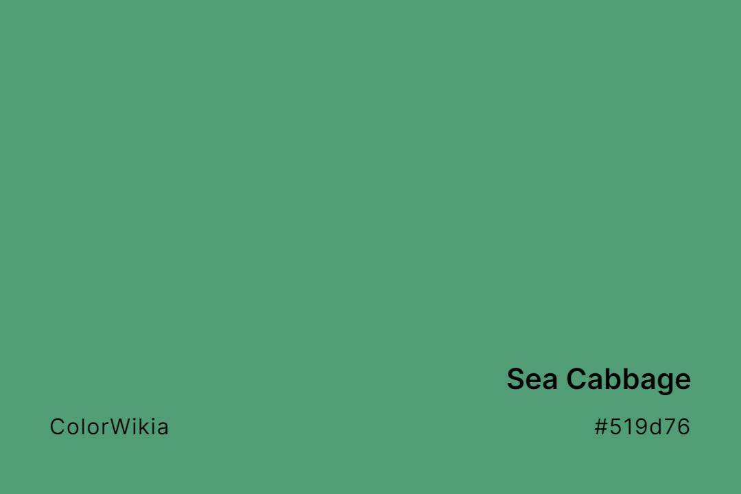 sea cabbage color 519d76
