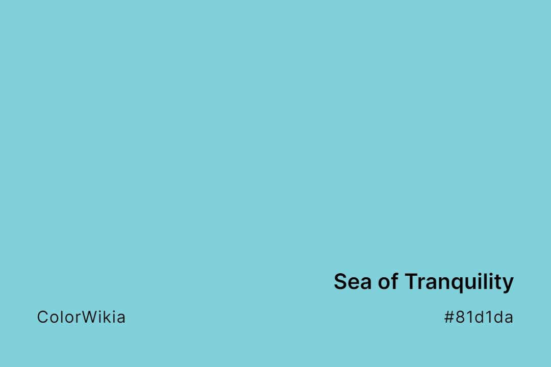 Sea of Tranquility Color – #81d1da: Codes and Complete Breakdown