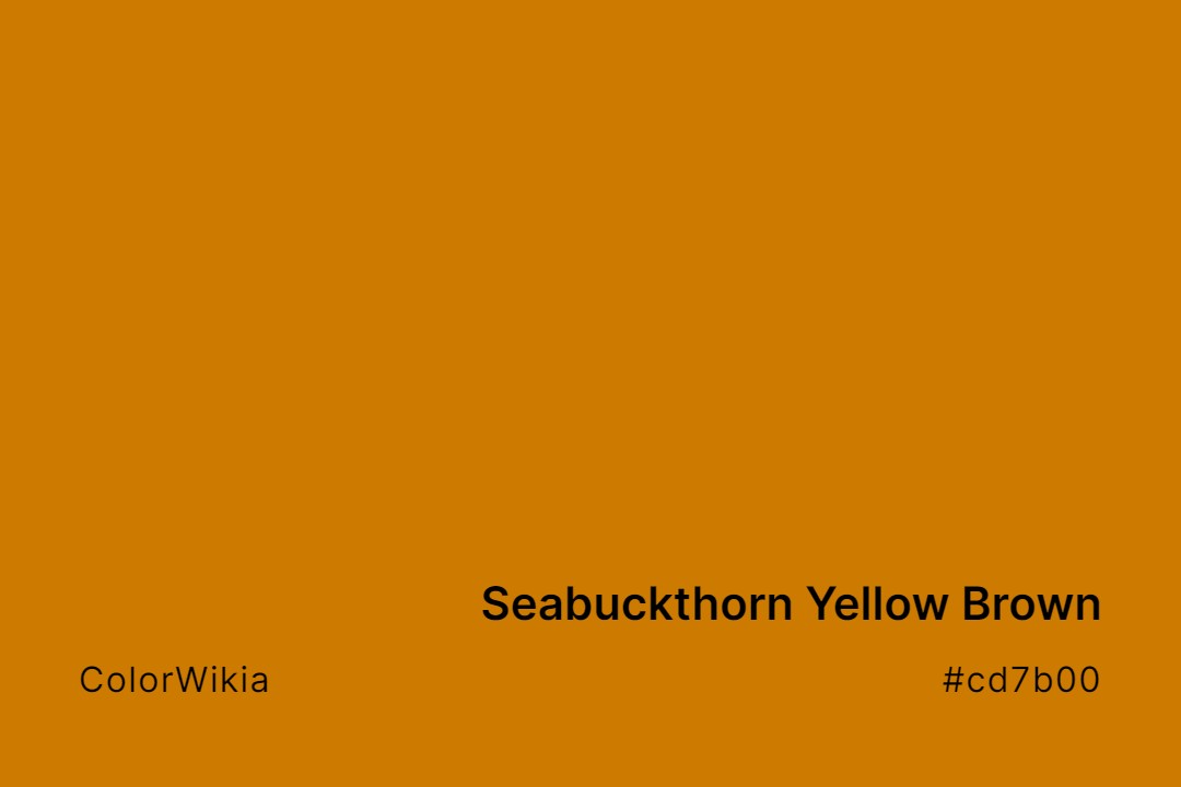 Seabuckthorn Yellow Brown Color – #cd7b00: Codes and Complete Breakdown