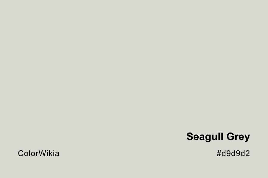 Seagull Grey Color – #d9d9d2: Codes and Complete Breakdown