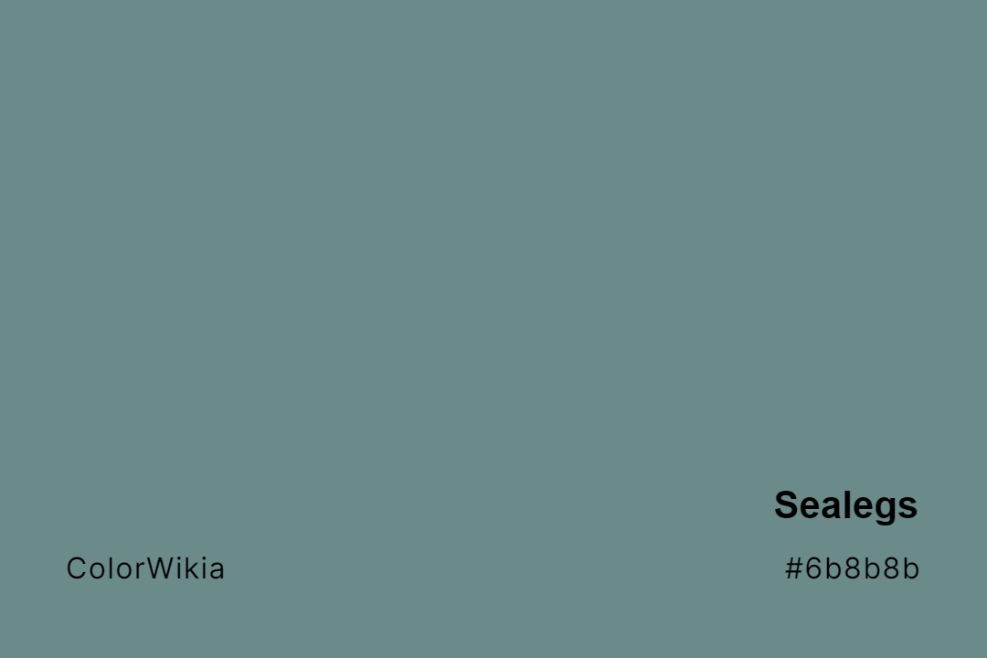 Sealegs Color – #6b8b8b: Codes and Complete Breakdown
