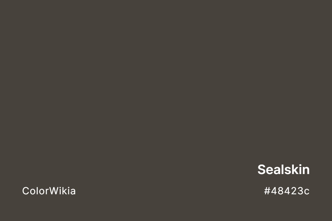 Sealskin Color – #48423c: Codes and Complete Breakdown