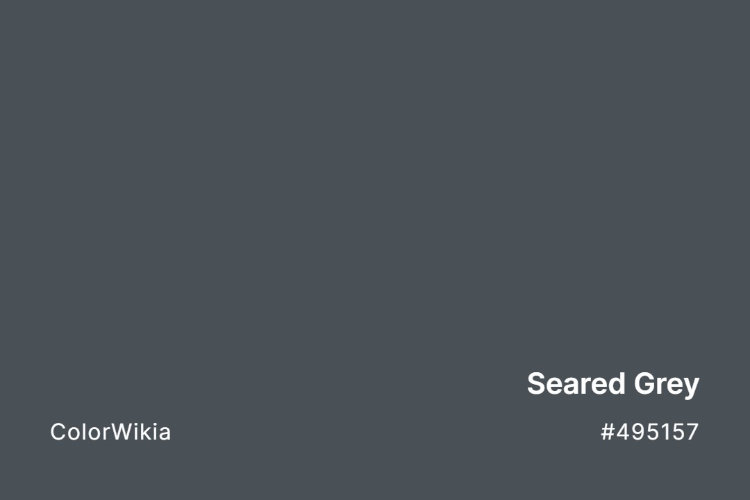 Seared Grey Color – #495157: Codes and Complete Breakdown