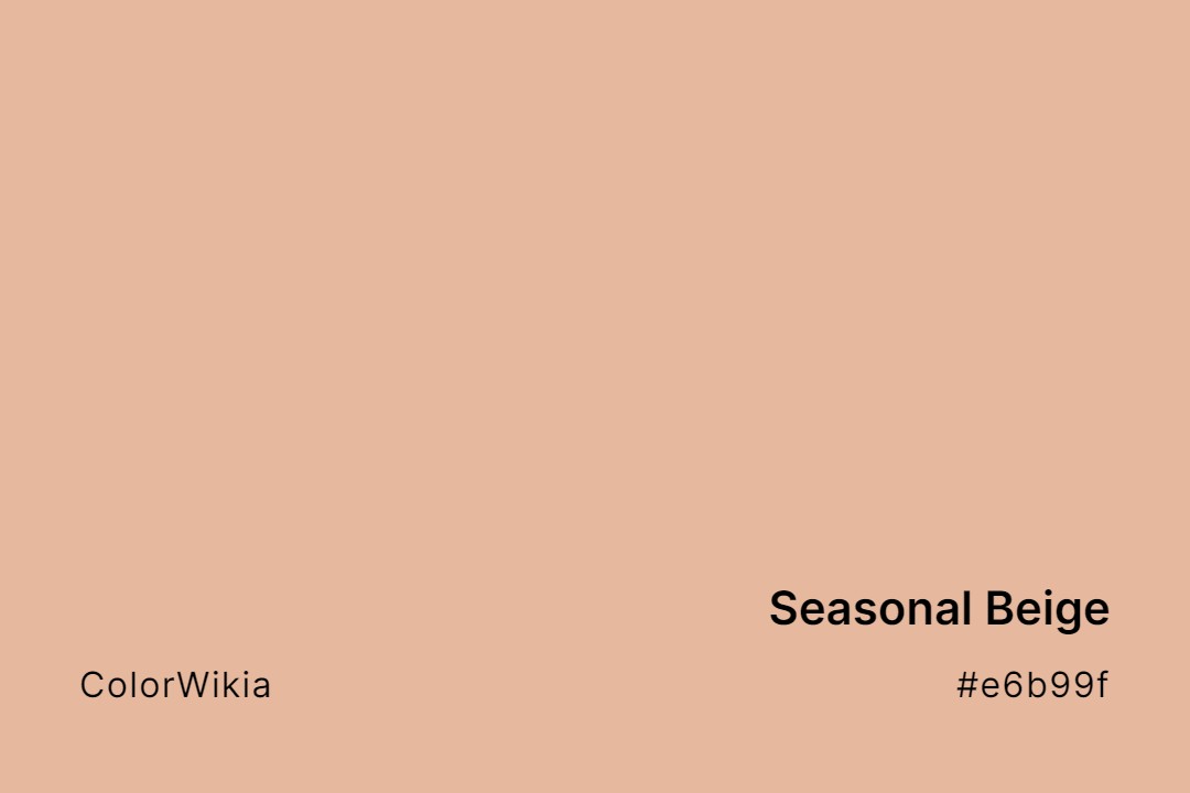 Seasonal Beige Color – #e6b99f: Codes and Complete Breakdown