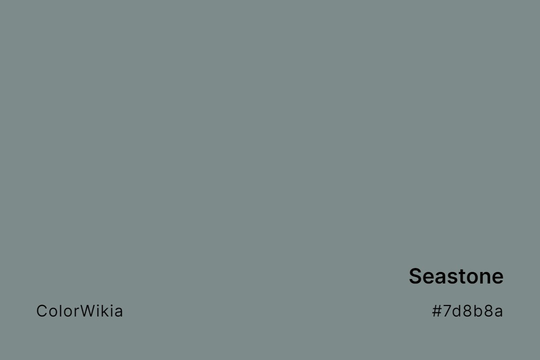 Seastone Color – #7d8b8a: Codes and Complete Breakdown