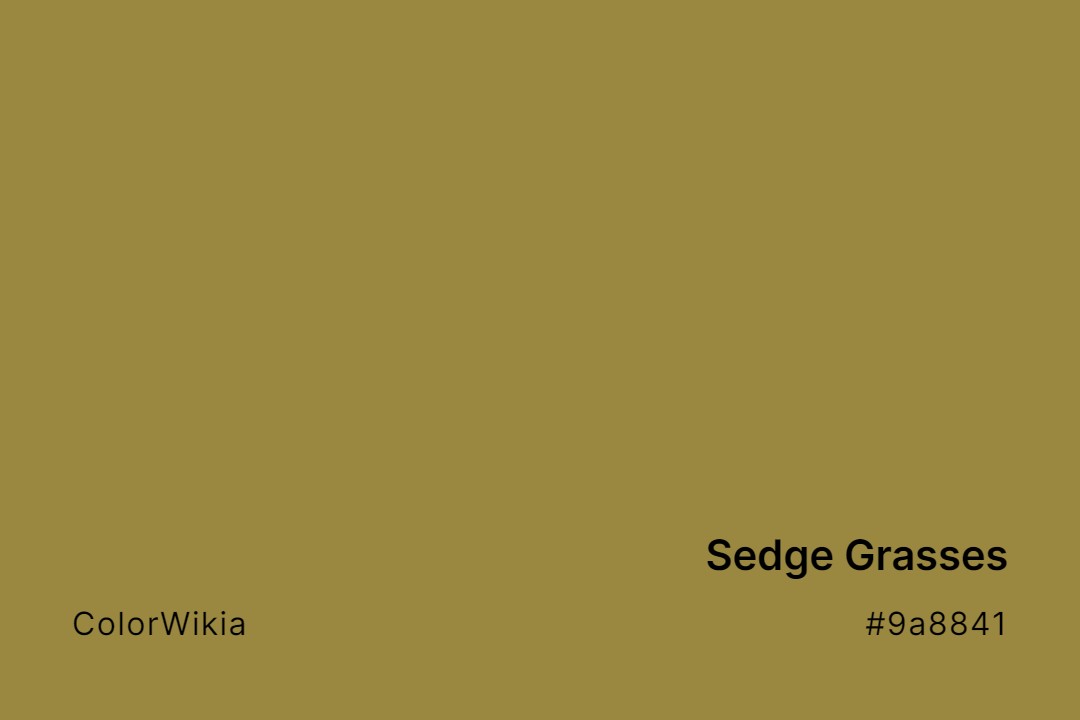 sedge grasses color 9a8841