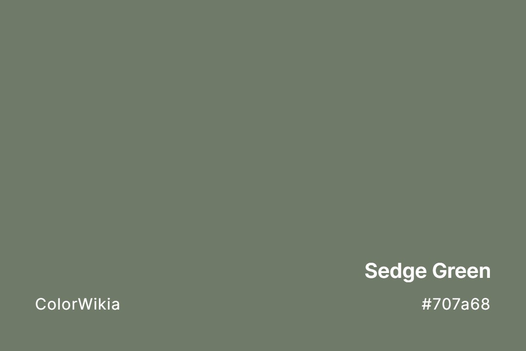 sedge green color 707a68