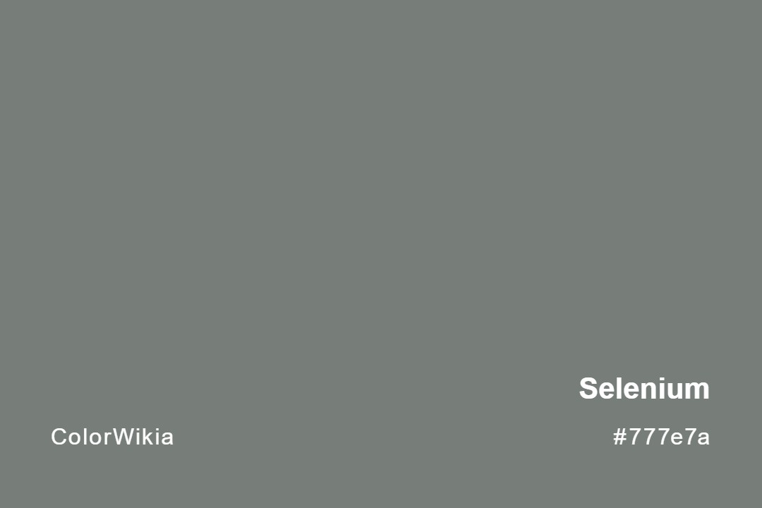 Selenium Color – #777e7a: Codes and Complete Breakdown