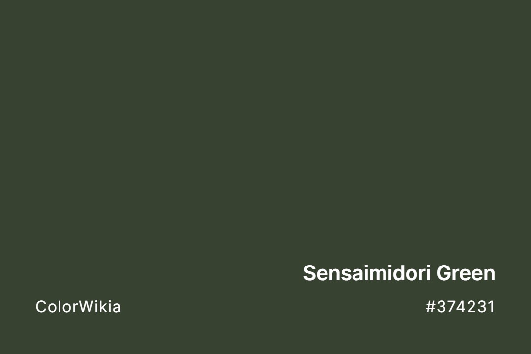 Sensaimidori Green Color – #374231: Codes and Complete Breakdown