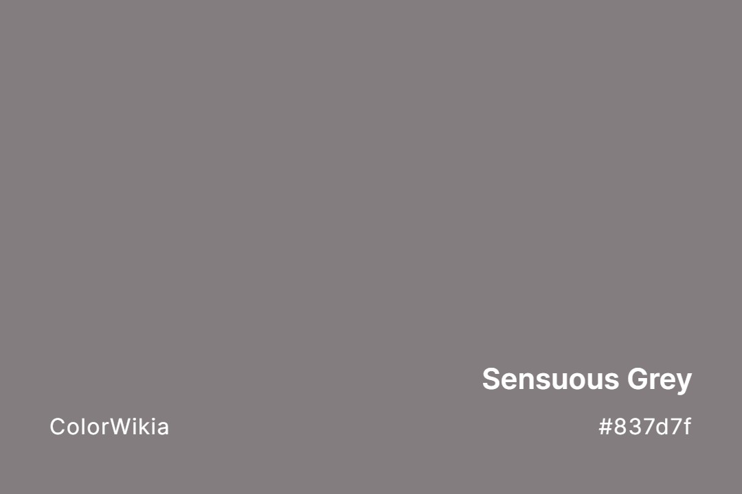 Sensuous Grey Color – #837d7f: Codes and Complete Breakdown