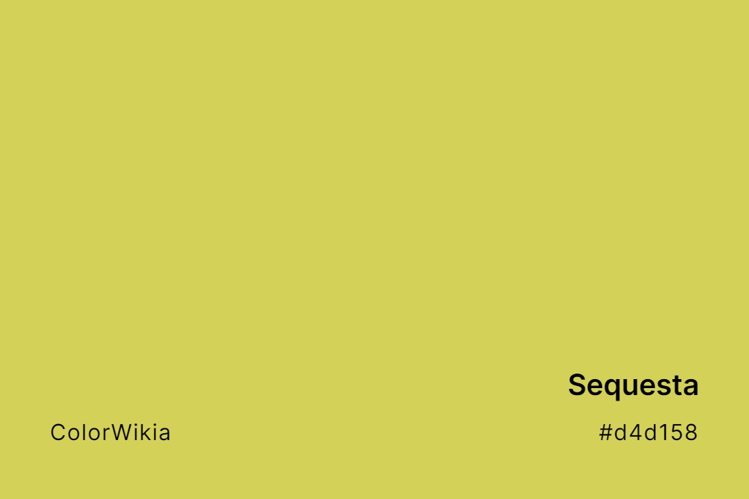 Sequesta Color – #d4d158: Codes and Complete Breakdown