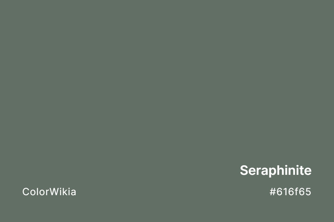 Seraphinite Color – #616f65: Codes and Complete Breakdown