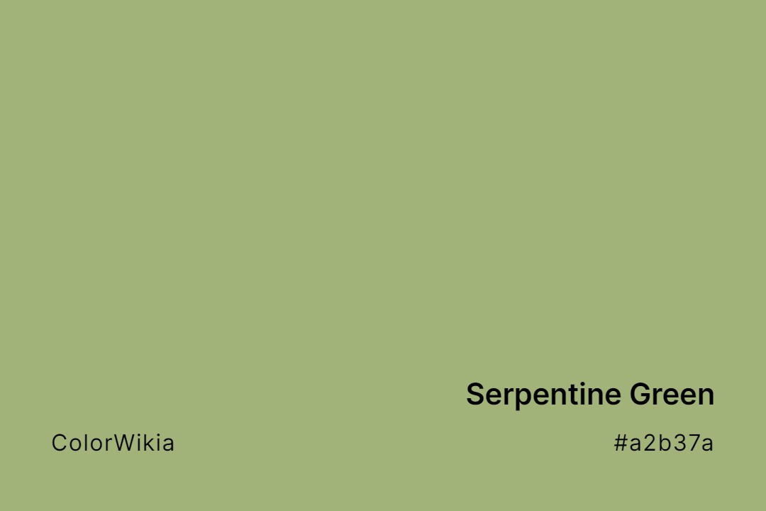 Serpentine Green Color – #a2b37a: Codes and Complete Breakdown