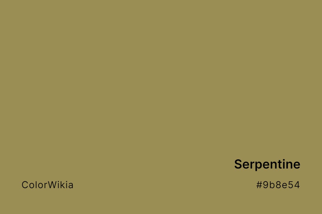 Serpentine Color – #9b8e54: Codes and Complete Breakdown