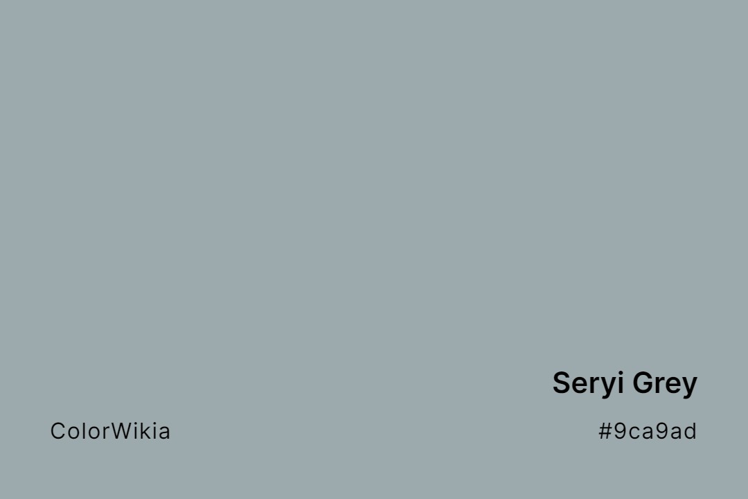 Seryi Grey Color – #9ca9ad: Codes and Complete Breakdown