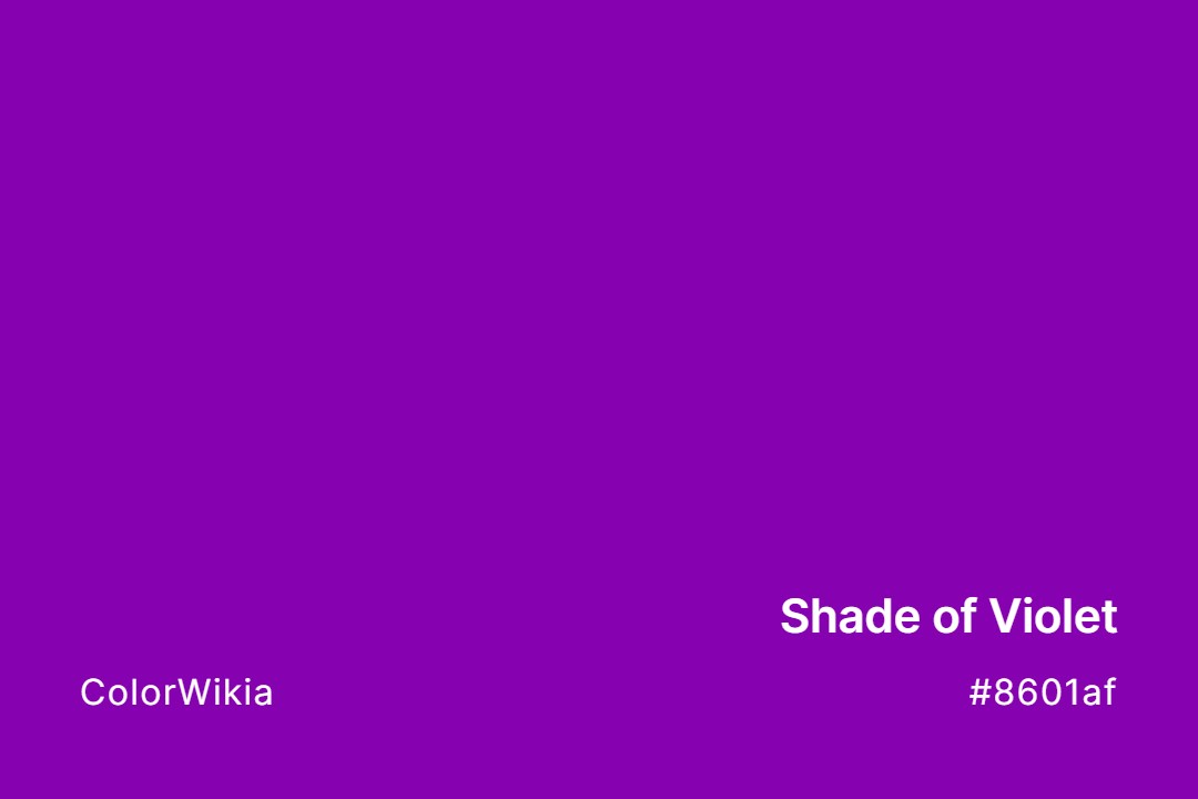 Shade of Violet Color – #8601af: Codes and Complete Breakdown
