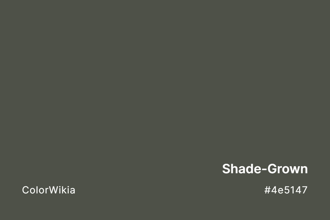 Shade-Grown Color – #4e5147: Codes and Complete Breakdown