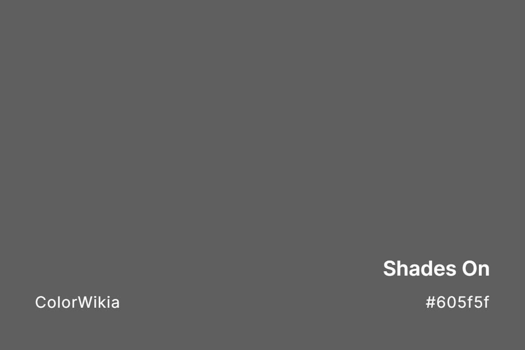 Shades On Color – #605f5f: Codes and Complete Breakdown