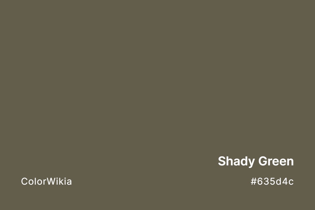 Shady Green Color – #635d4c: Codes and Complete Breakdown
